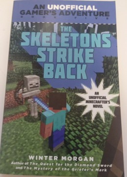 minecraft : the skeleton strike back