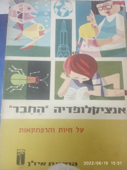 אנצ' 