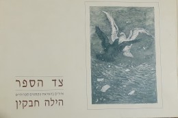 צד הספר איורים בהוצאת טקסטים ספרותיים