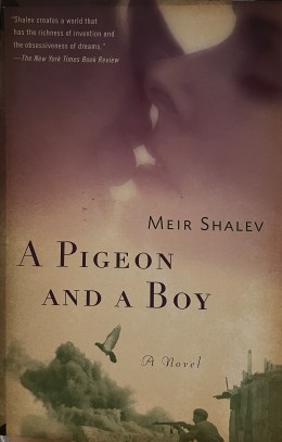 A Pigeon And A Boy