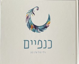 כנפיים