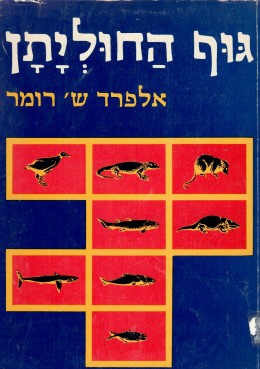 גוף החוליתן (במצב טוב, המחיר כולל משלוח)