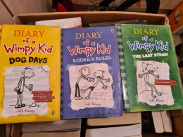 Diary of the wimpy kid