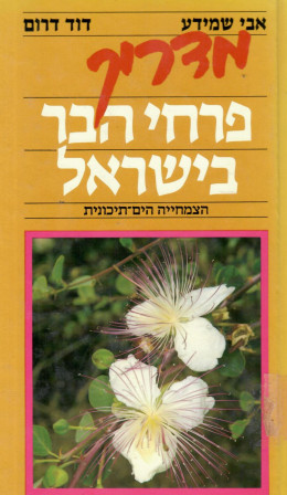 מדריך פרחי הבר בישראל: הצמחייה הים תיכונית (במצב ט