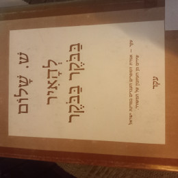 להאיר בבקר בבקר