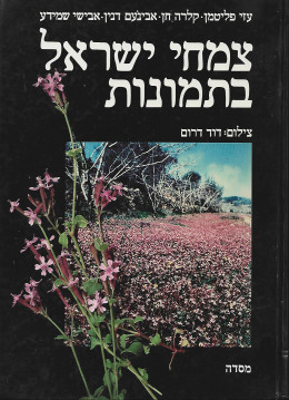 צמחי ישראל בתמונות