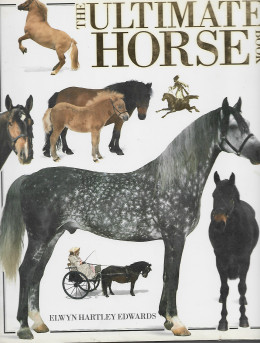 The Ultimate Horse Book