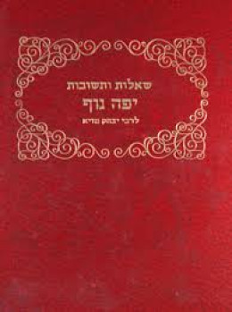 שאלות ותשובות יפה נוף לרבינו יצחק מזיא