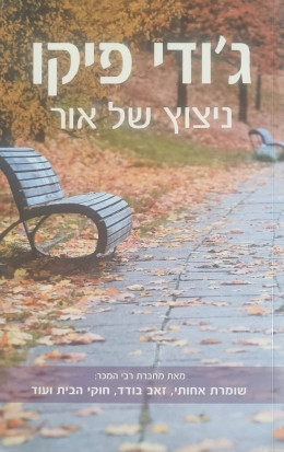 ניצוץ של אור