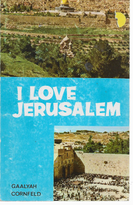 I LOVE JERUSALEM