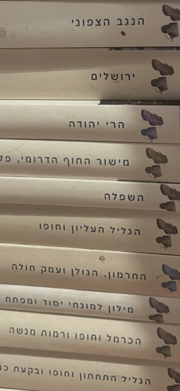 מדריך ישראל החדש