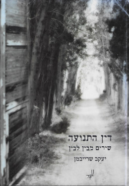 דין התנועה: שירים מבין לבין