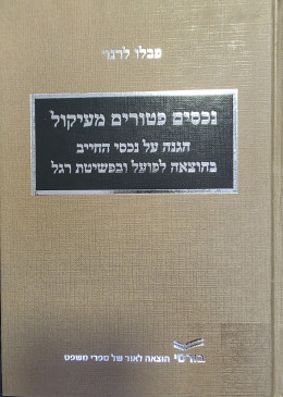 נכסים פטורים מעיקול , הגנה על נכסים החייב בהוצאה לפועל ובפשיטת רגל
