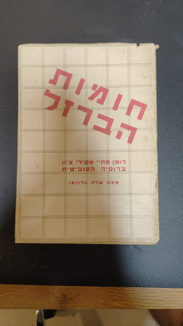 חומת הברזל